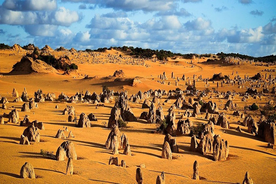 cong-vien-quoc-gia-Nambung
